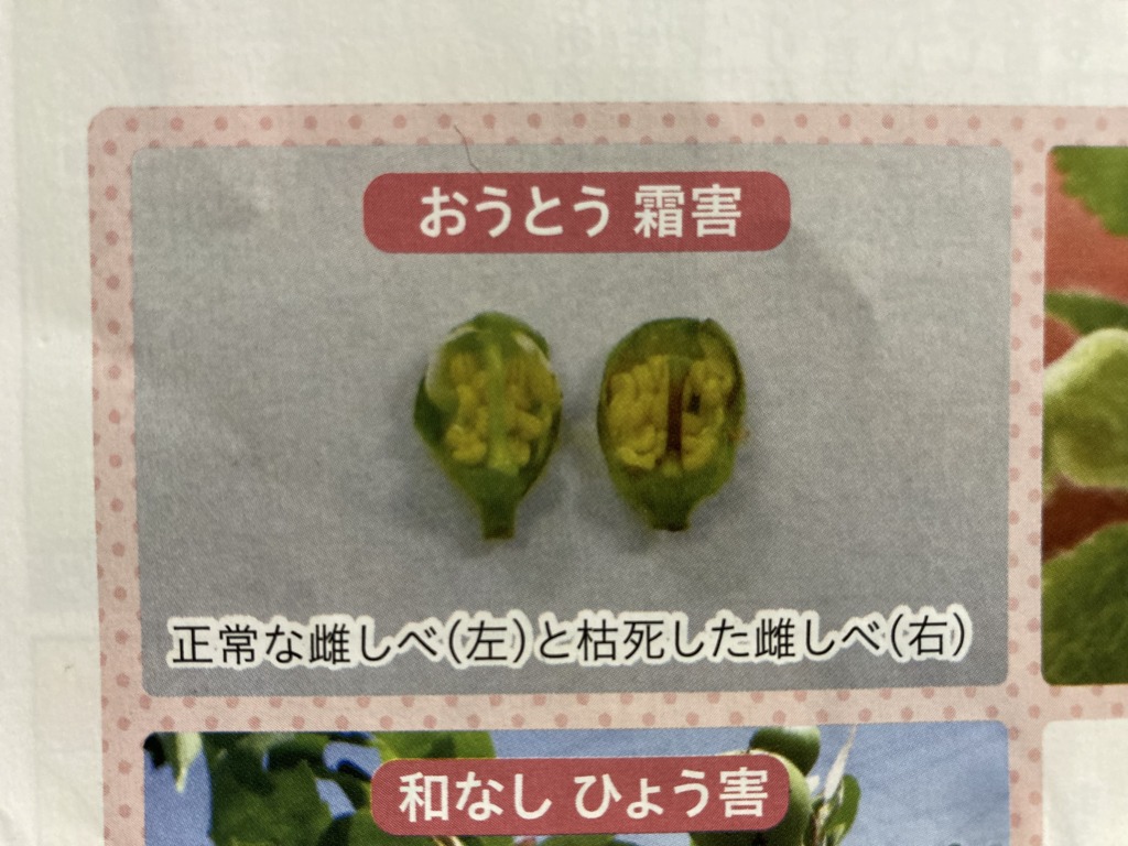 画像に alt 属性が指定されていません。ファイル名: IMG_7129-1024x768.jpg