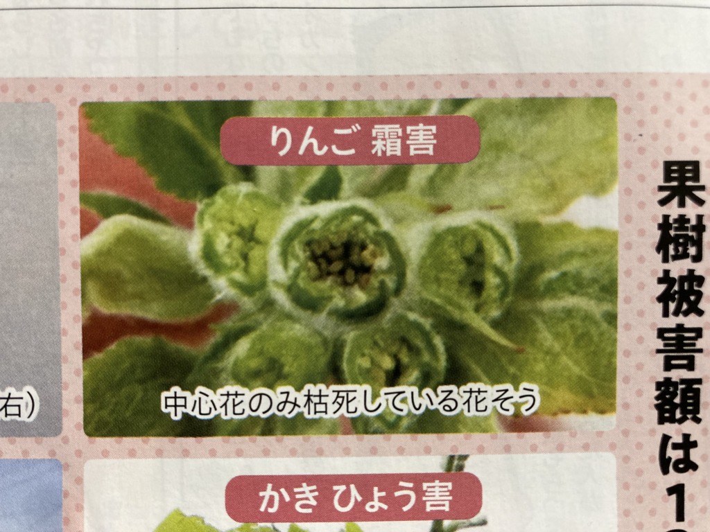 画像に alt 属性が指定されていません。ファイル名: IMG_7130-1024x768.jpg